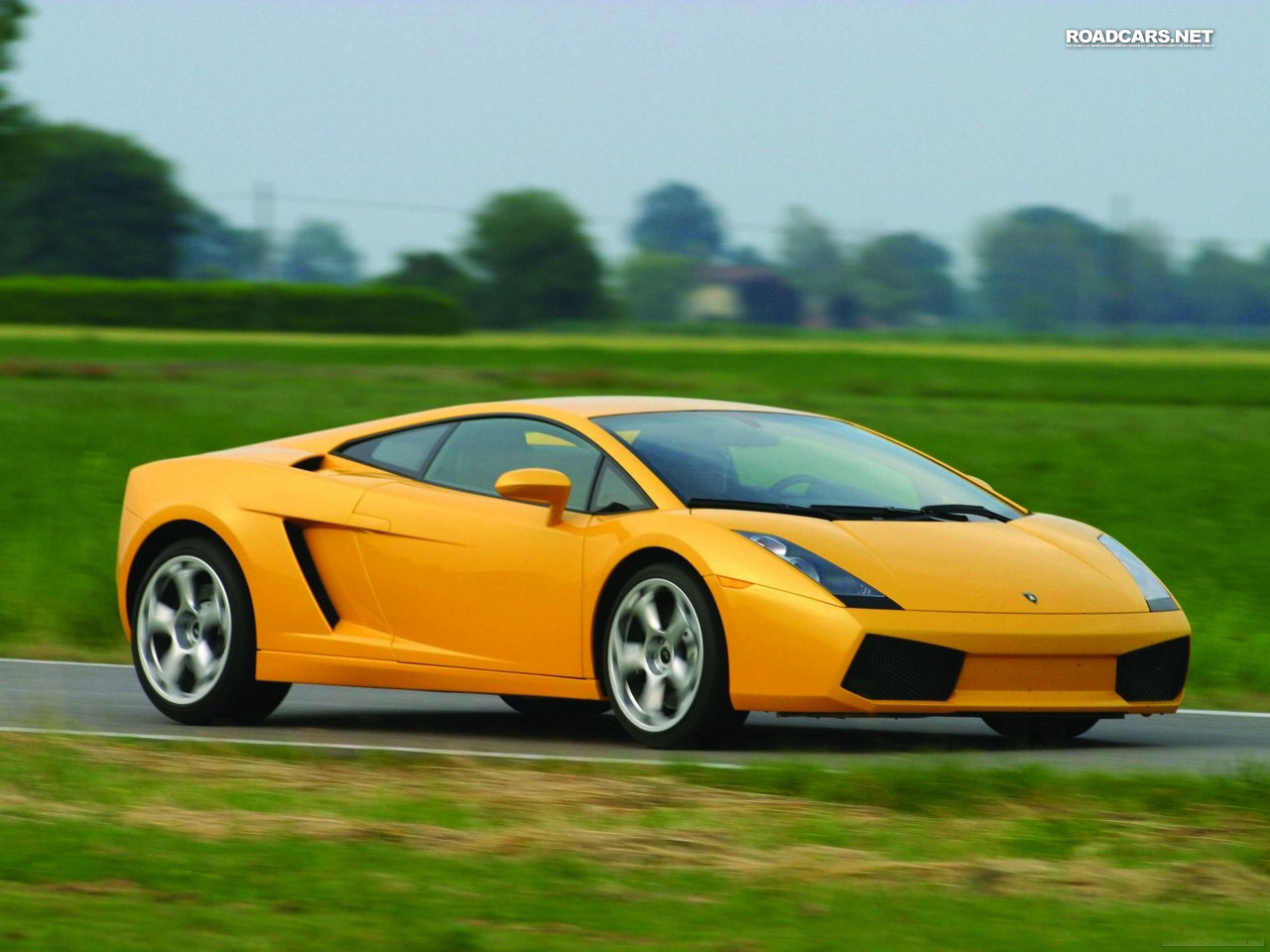 Lamborghini Gallardo